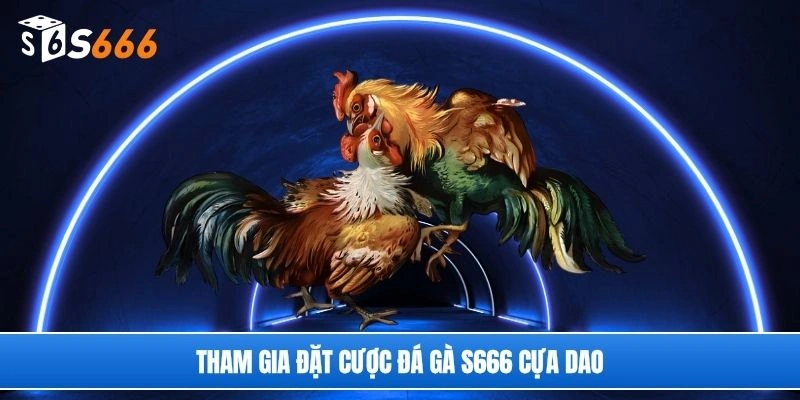 Tham gia đặt cược đá gà S666 cựa dao